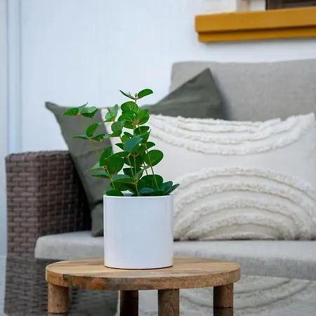 Hébergement de vacances Molino Blanco By La Mata